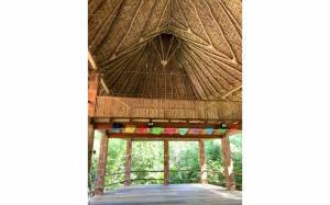 Coline MARGUIN - COLORAMA DESIGN